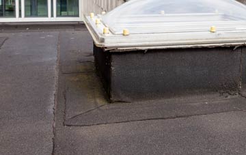 disadvantages of New Waltham flat roofs