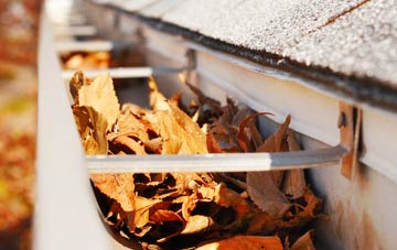 New Waltham gutter cleaning companies