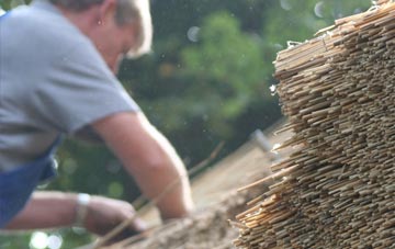 professional New Waltham thatchers