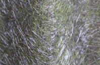 New Waltham fibreglass roof work